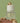 Atelier Eau de Parfum The Pistachio 30ml  Solid Perfumes Atelier