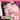 colorgram Nudy Blur Line Tint Stick  Decorative cosmetics Colorgram