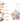 TIPTOE Wish Touch Eye Palette 6 Colors  Decorative cosmetics TIPTOE