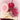 Holika Holika Melting Blur Lip Pot 5g 2 Colors 2-pack  Decorative cosmetics Holika Holika