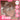 AOU Powder No-Fallout Shading Topping  Decorative cosmetics AOU