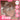 AOU Powder Shading Topping  Decorative cosmetics AOU
