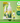 CHUNG MI JUNG Aloe Fermented Cleansing Oil  Skin Cleansing CHUNG MI JUNG