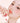 ETUDE Cozy Fixing Tint 4g  Decorative cosmetics ETUDE
