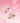 CEZANNE Face Eye Palette 2 Colors  Decorative cosmetics CEZANNE
