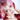 TWOSLASHFOUR Dazzling Face Cube  Decorative cosmetics TWOSLASHFOUR