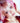 TWOSLASHFOUR Dazzling Face Cube  Decorative cosmetics TWOSLASHFOUR