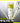 celimax The Vita A Retinal Shot Tightening Dual Cream 50ml  Skin Care celimax