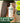 Anoc Scalp and Hair Care Vegan Protein Treatment 400ml  Hair Care 아녹