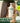 Anoc Scalp and Hair Care Vegan Protein Treatment 400ml  Hair Care 아녹