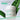 INNISFREE Green Tea Seed Hyaluronic Acid Cream 50ml + 20ml  Skin Care INNISFREE
