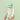 Postes Eau de Parfum 50ml From Saint-Tropez  Solid Perfumes 포스테스
