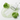 Dongkuk Pharm Ruoncell PDRN Serum 25ml  Toners, Serums, Essences 루온셀