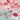 [attexcutter collagen /body care] atte chemistry lip gloucester  Decorative cosmetics athe