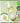DALEAF Chlorella Barrier Root Hair Tonic 100ml +Octopus Scraper  Hair Care DALEAF