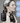 MONCLOS Scalp Solution Shampoo 420ml  Hair Care MONCLOS