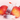 Aliance Watercolor Lip Tattoo 5 Colors  Decorative cosmetics 얼리언스