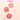Canmake Cream Cheek 2.4g 5 Colors  Decorative cosmetics Canmake