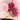 Holika Holika Melting Blur Lip Pot 5g 08 Sundown  Decorative cosmetics Holika Holika