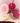Holika Holika Melting Blur Lip Pot 5g 08 Sundown  Decorative cosmetics Holika Holika