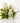 Atelier Fay Perfume Muguet Garden 30ml  Solid Perfumes 아뜰리에페이