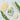 Atelier Fay Perfume Muguet Garden 30ml  Solid Perfumes 아뜰리에페이