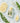 Atelier Fay Perfume Muguet Garden 30ml  Solid Perfumes 아뜰리에페이