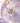 Atelier Fay Perfume Wisteria Wish 30ml  Solid Perfumes 아뜰리에페이