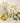 Atelier Fay Perfume 30ml Flower Skin  Solid Perfumes 아뜰리에페이