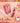 colorgram Jelly Glazing Tint 9 Colors  Decorative cosmetics colorgram