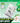 VT Ridleshot Nourishing Hand Mask 1 Sheet  Body Care VT