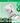 VT Ridleshot Foot Peeling Mask 1 Sheet  Body Care VT