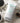 MONZAL Tricogrowp Scalp Ampoule 120ml  Hair Care MONZAL