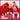 WAKEMAKE Off Cherry Collection 12 Shades  Decorative cosmetics WAKEMAKE