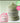 [NEW / Rose Hip 50g Amplitude Planning] Arencia Fresh Green Cleanser 120g Planning (+Rose Hip Cleanser 50g)  Skin Cleansing Arencia