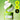 beplain Mung Bean Pore Cleansing Milk Balm 100ml 2-pack  Skin Cleansing beplain