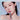 Dinto Overload Lip Glaze  Decorative cosmetics Dinto