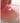 ANILLO Rosy Night Repair Shampoo 450ml  Shampoo SHOPPING IN KOREA