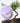 Missha Layering Fit Pine Phyto Mucin Serum Cushion 15g  Cushion Foundation SHOPPING IN KOREA