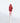 EQUMAL Non-Section Glowy Tint 5g #119 Informal Red  Tint SHOPPING IN KOREA