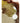 TOUN28 Baobab Hair Perfume Mist 100ml  Mist SHOPPING IN KOREA