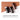 TONY MOLY Personal Hair Contouring Style Puff – Dark Brown 13 g  Hair Contouring Style Puff SHOPPING IN KOREA