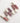 nuegray Daily Mood Matte Liquid 4.8g  Matte liquid lipstick SHOPPING IN KOREA