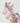 Anua Heartleaf Succinic Moisture Cleansing Foam 150ml  Gel foam SHOPPING IN KOREA