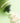 Dr.G Green Deep Foaming Scrub 120g  Scrub SHOPPING IN KOREA