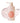 MOO100 Grapefruit Water Shampoo 500ml  Shampoo SHOPPING IN KOREA