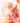 Laka Fruity Glam Tint Mini 1.9g  Tint SHOPPING IN KOREA