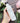YUNJAC Whole Plant Effect Essential Toner 150ml  Toner SHOPPING IN KOREA