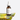The Ordinary 100% Plant-Derived Squalane 30ml  Serum SHOPPING IN KOREA