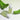 Wellogy Green Banana Serum 40ml  Serum SHOPPING IN KOREA